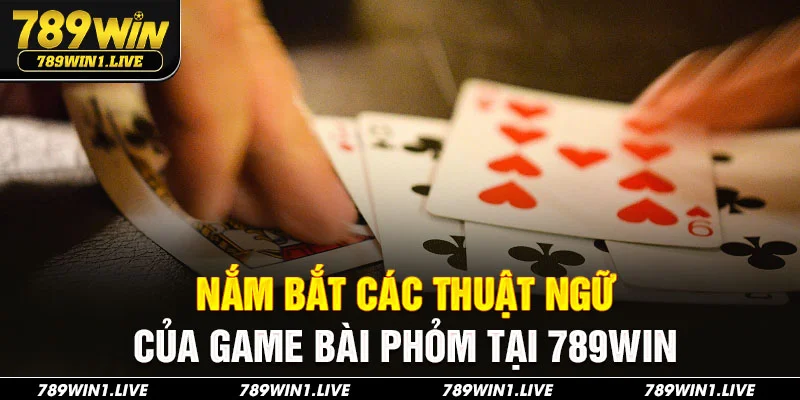 Nắm bắt các thuật ngữ của game bài phỏm tại 789Win