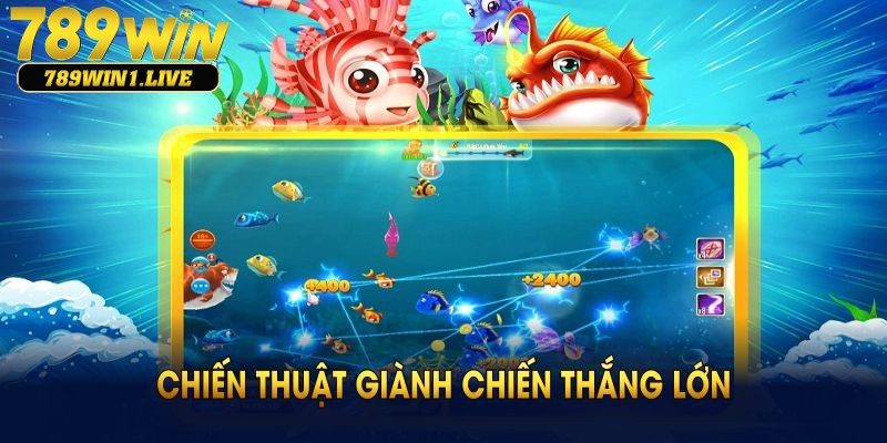 Chiến thuật giành chiến thắng cho hội viên mới
